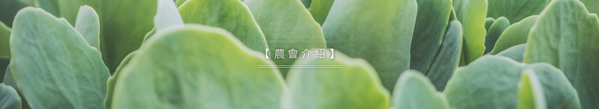 農會介紹