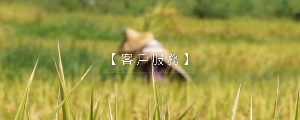 客戶服務